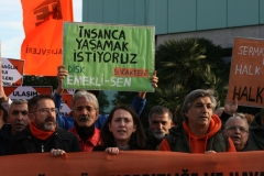 photo_5782694446817722520_y