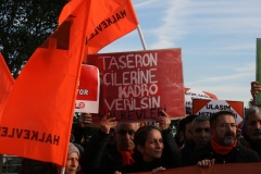 photo_5782694446817722525_y