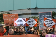 photo_5782694446817722538_y