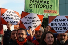 photo_5782694446817722546_y