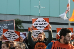 photo_5782694446817722551_y