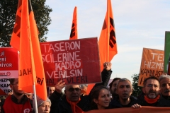 photo_5782694446817722605_y