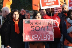 photo_5782694446817722610_y