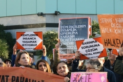 photo_5782694446817722614_y