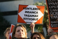 photo_5782694446817722617_y