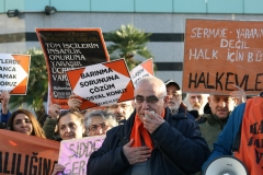 photo_5782694446817722621_y