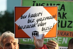 photo_5782694446817722632_y