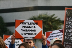 photo_5782694446817722639_y