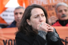 photo_5782694446817722657_y