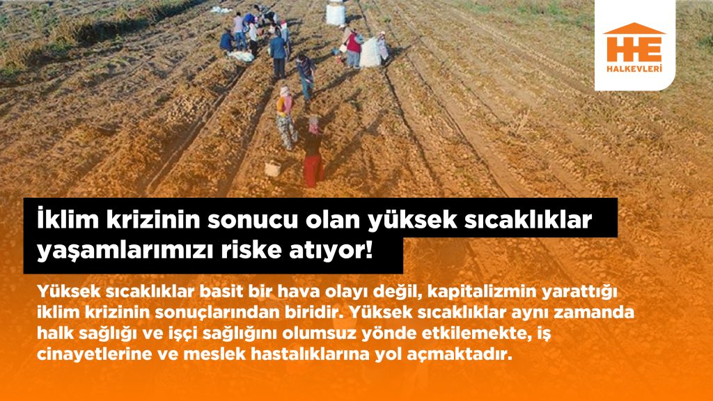 İklim krizinin sonucu olan yüksek sıcaklıklar yaşamlarımızı riske atıyor!